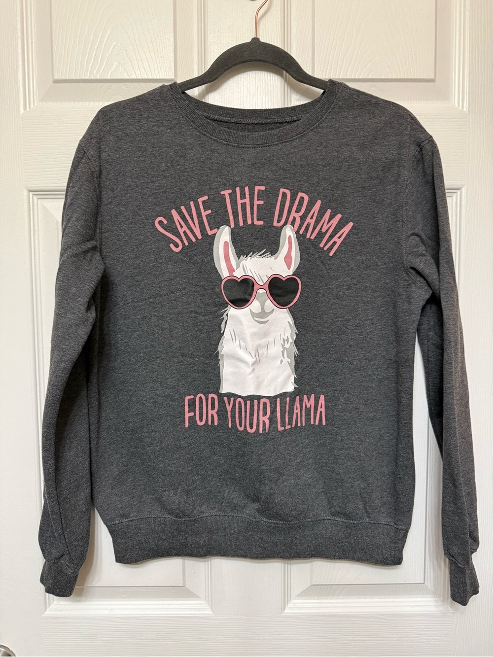 Hybrid Apparel Charcoal Crewneck with Llama Graphic